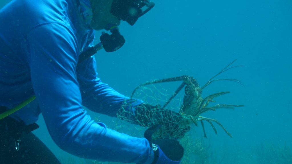 Lobstering in Islamorada from the Twin Vee 28' center console boat.