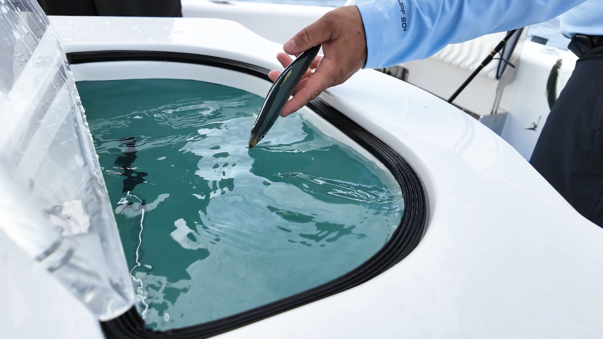 Livewell Pump Guide: Hooker Livewell System Explained